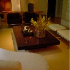 MCASSAR COFFEE TABLE SLAB