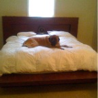 KING BED