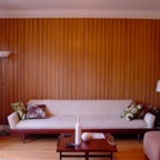 ZEBRAWALLPR_2