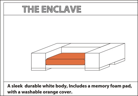 the enclave